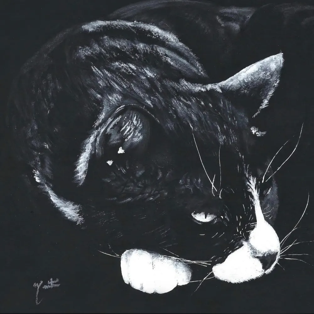 skipfour.bsky.social's profile picture