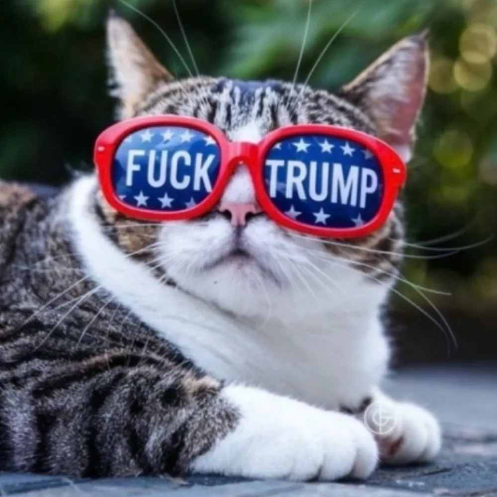 trina134.bsky.social's profile picture