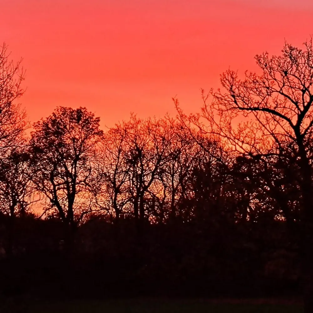 mimi-57.bsky.social's profile picture