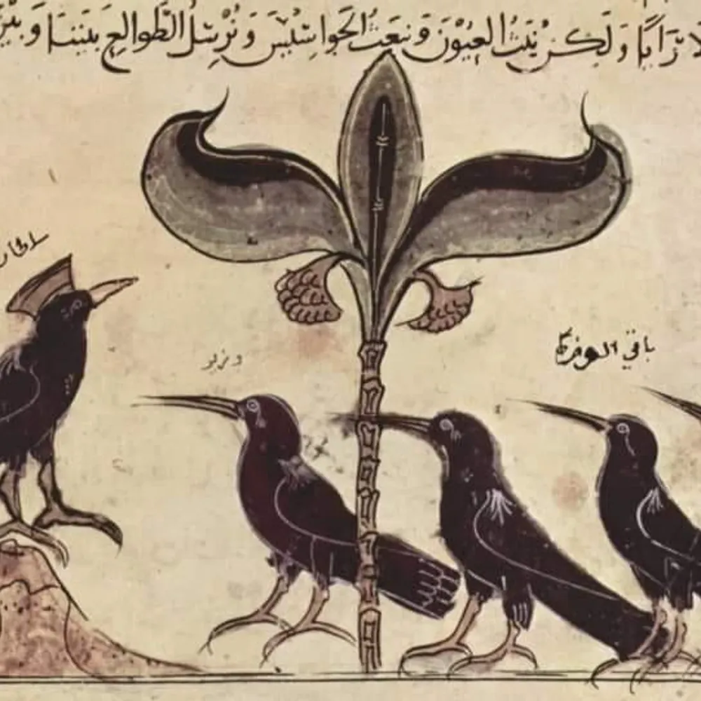 jonreilly1313.bsky.social's profile picture