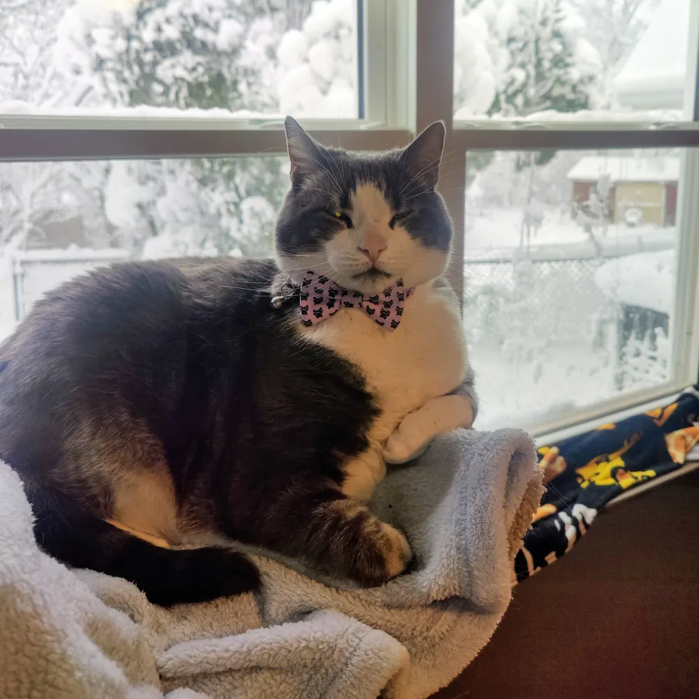 feministbuzzzkill.bsky.social's profile picture