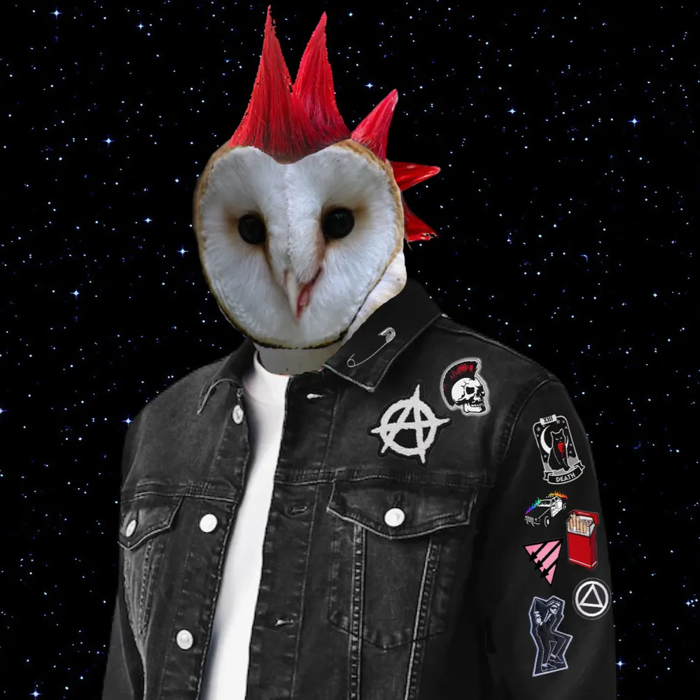 thecomposmonaut.bsky.social's profile picture