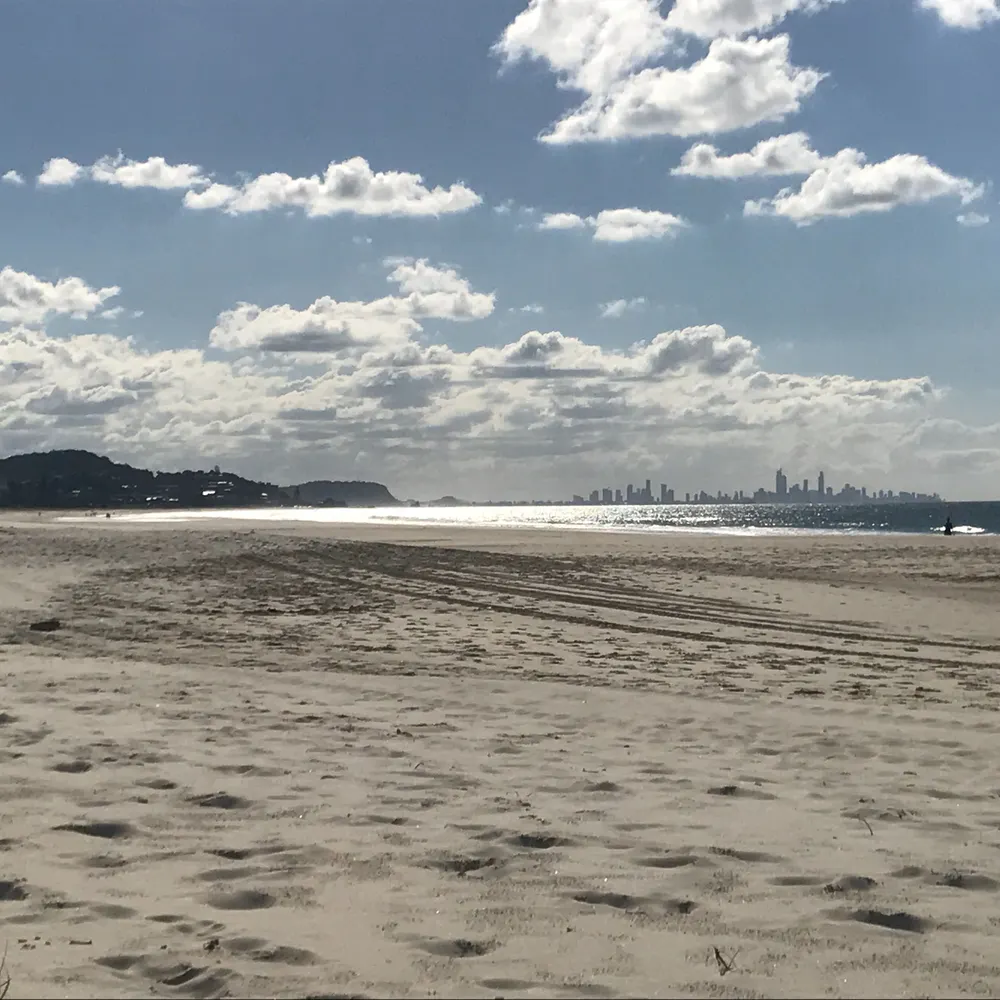 simon-blone.bsky.social's profile picture