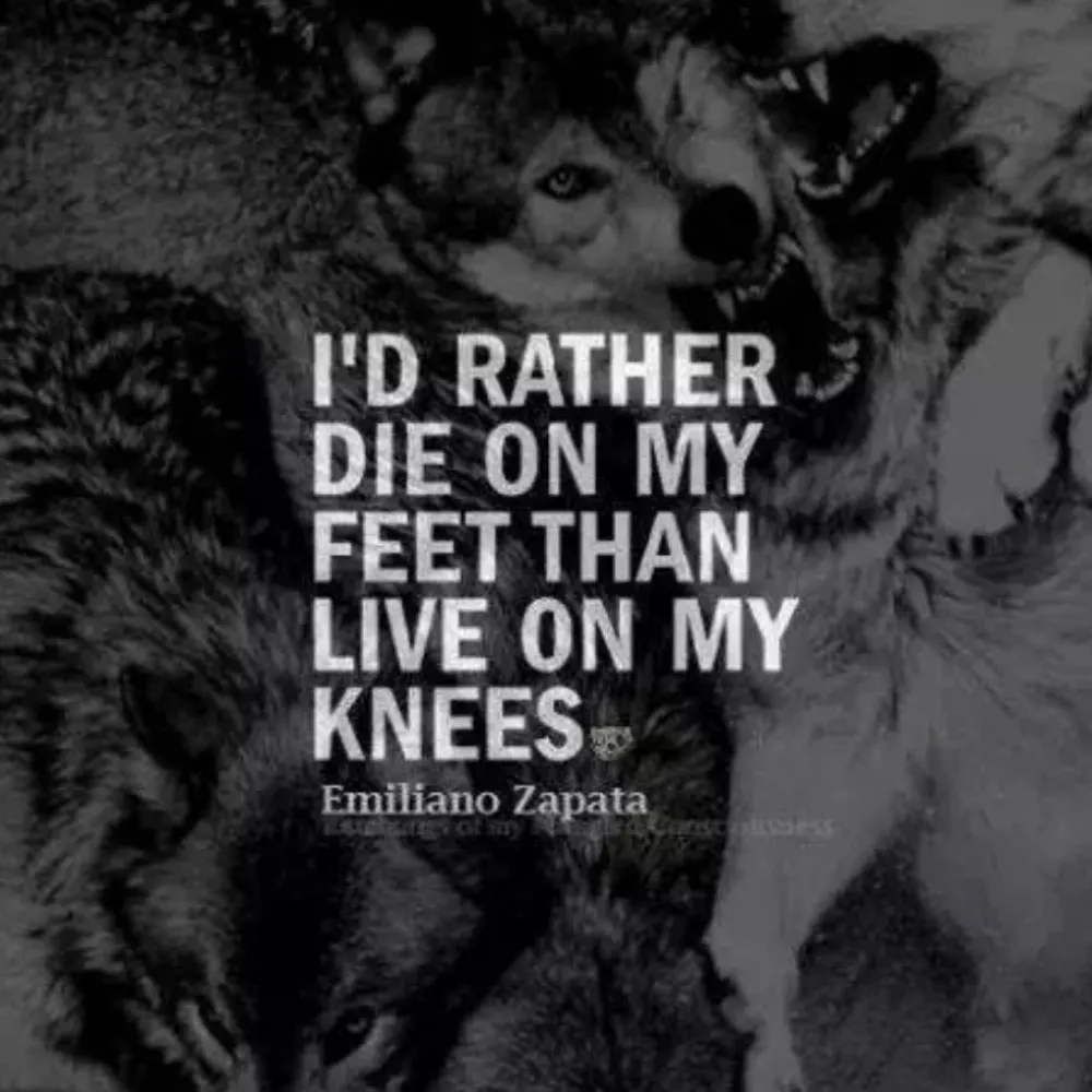 jujudocto.bsky.social's profile picture