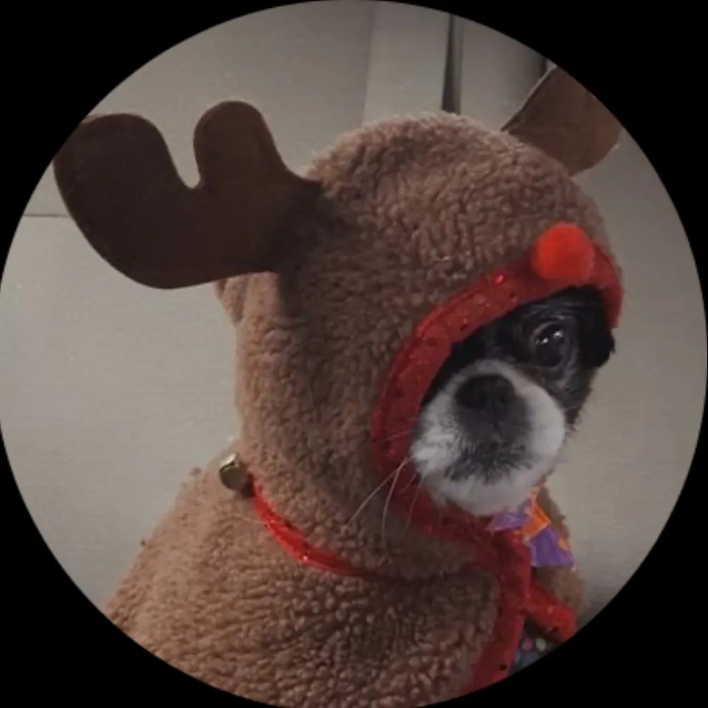 karlabetz.bsky.social's profile picture