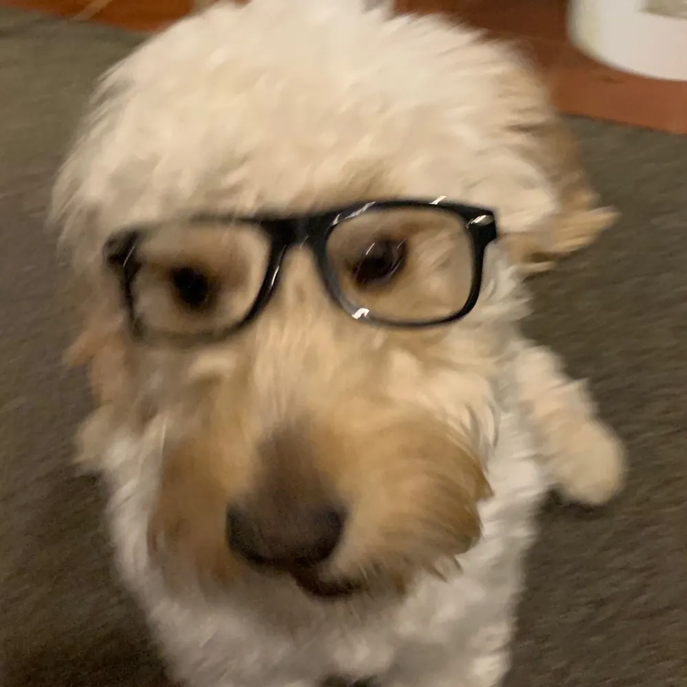 alttag.bsky.social's profile picture