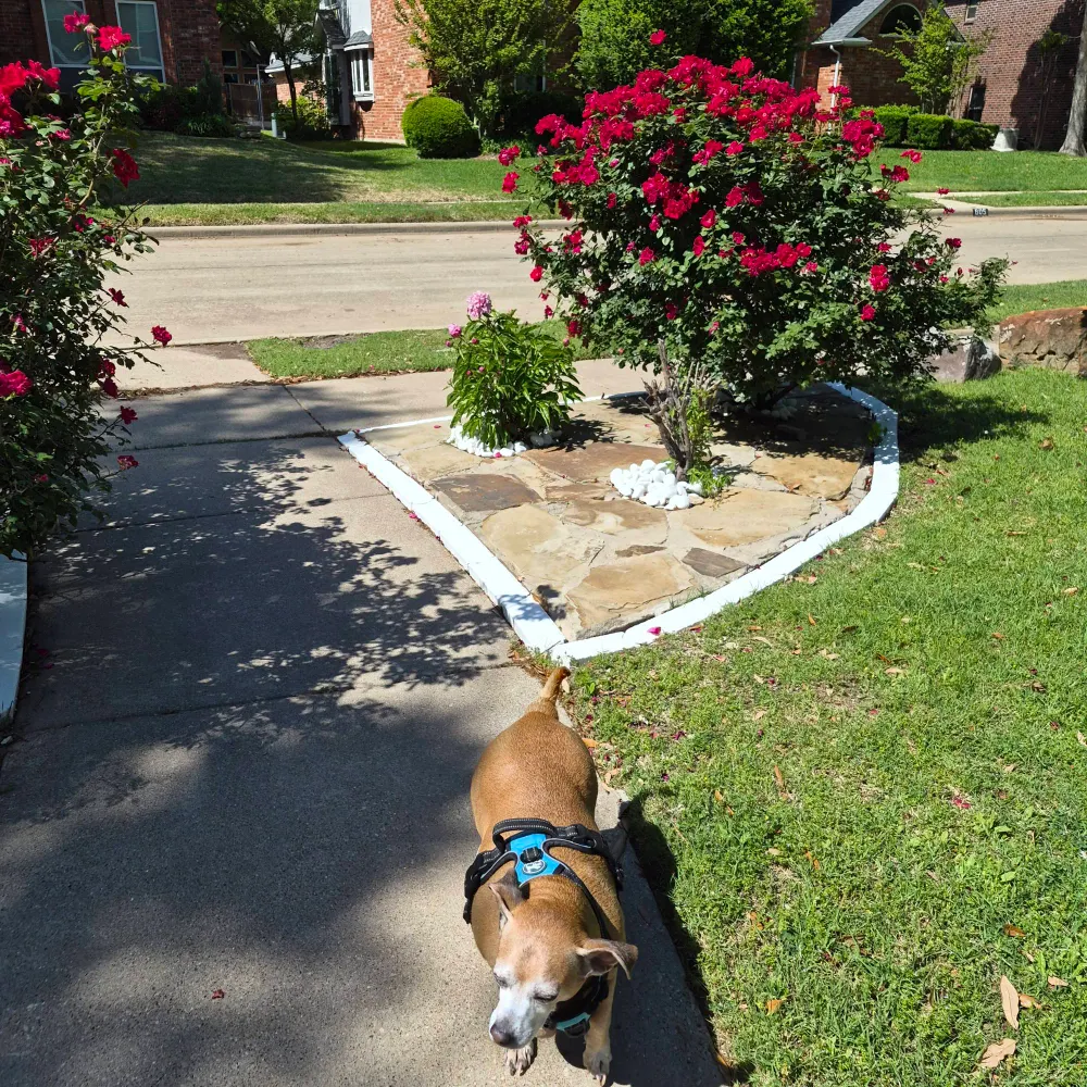 allinmoderation.bsky.social's profile picture