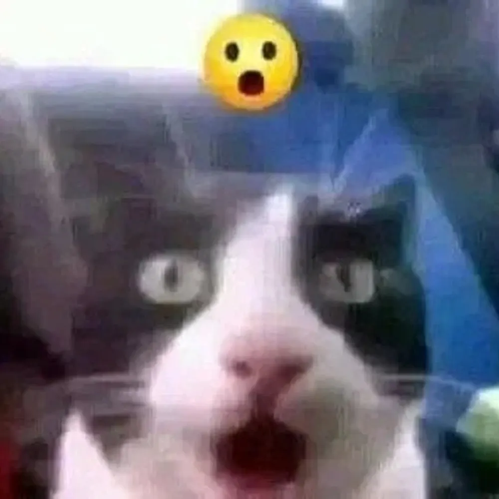 jankyjump.bsky.social's profile picture