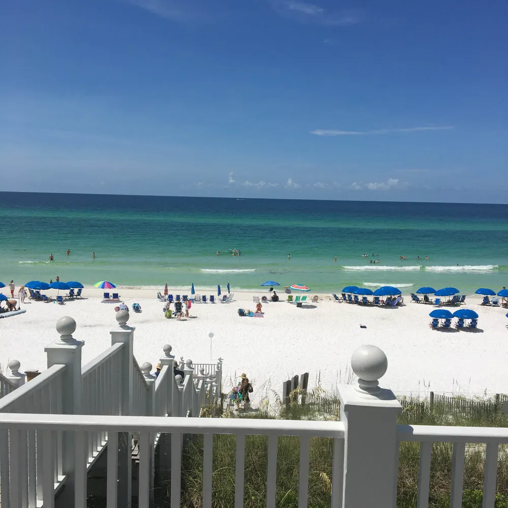 tulips200.bsky.social's profile picture