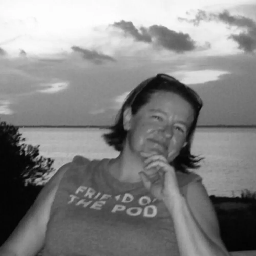 mep.bsky.social's profile picture