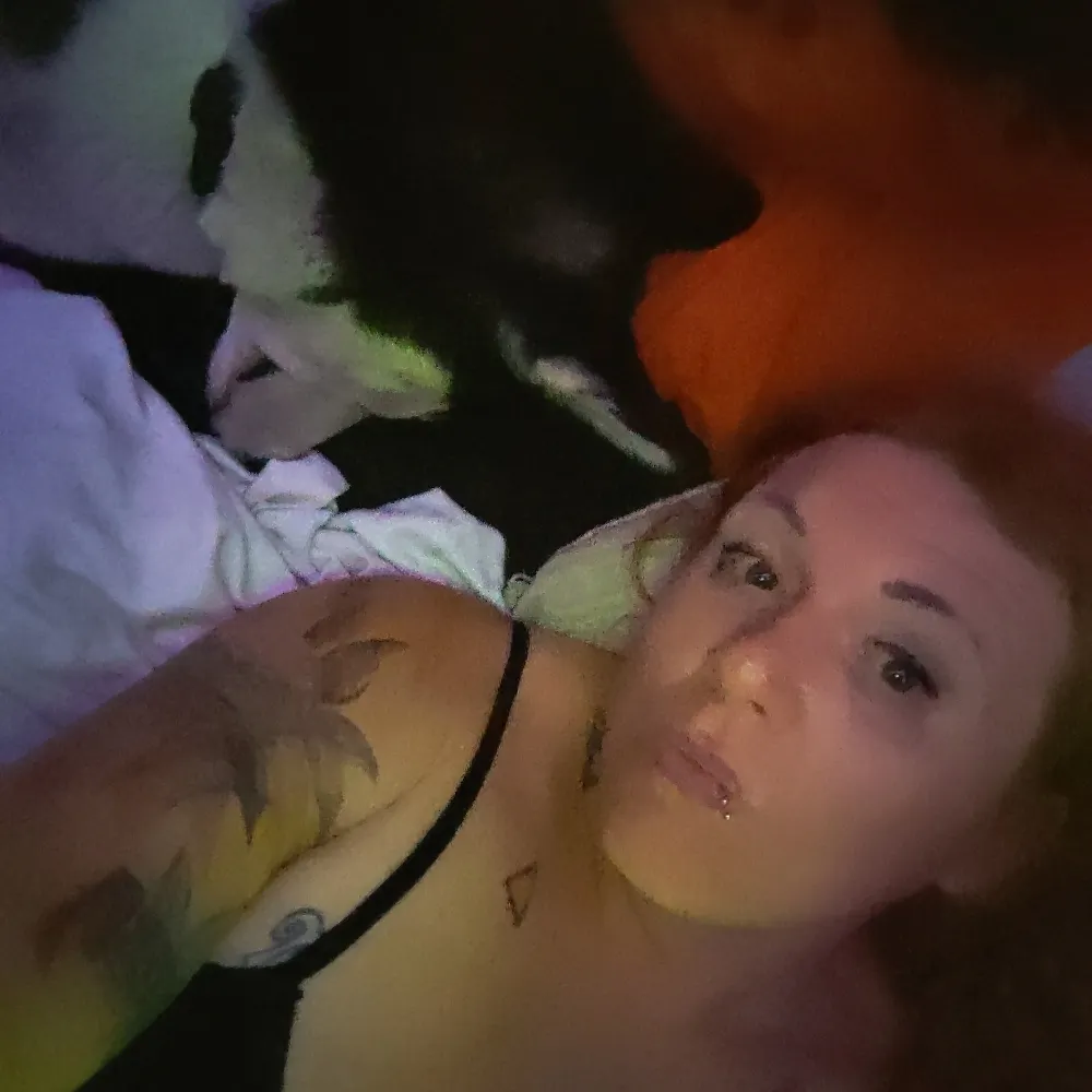 trishaperil.bsky.social's profile picture