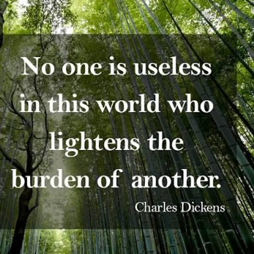 storybridge.bsky.social's profile picture