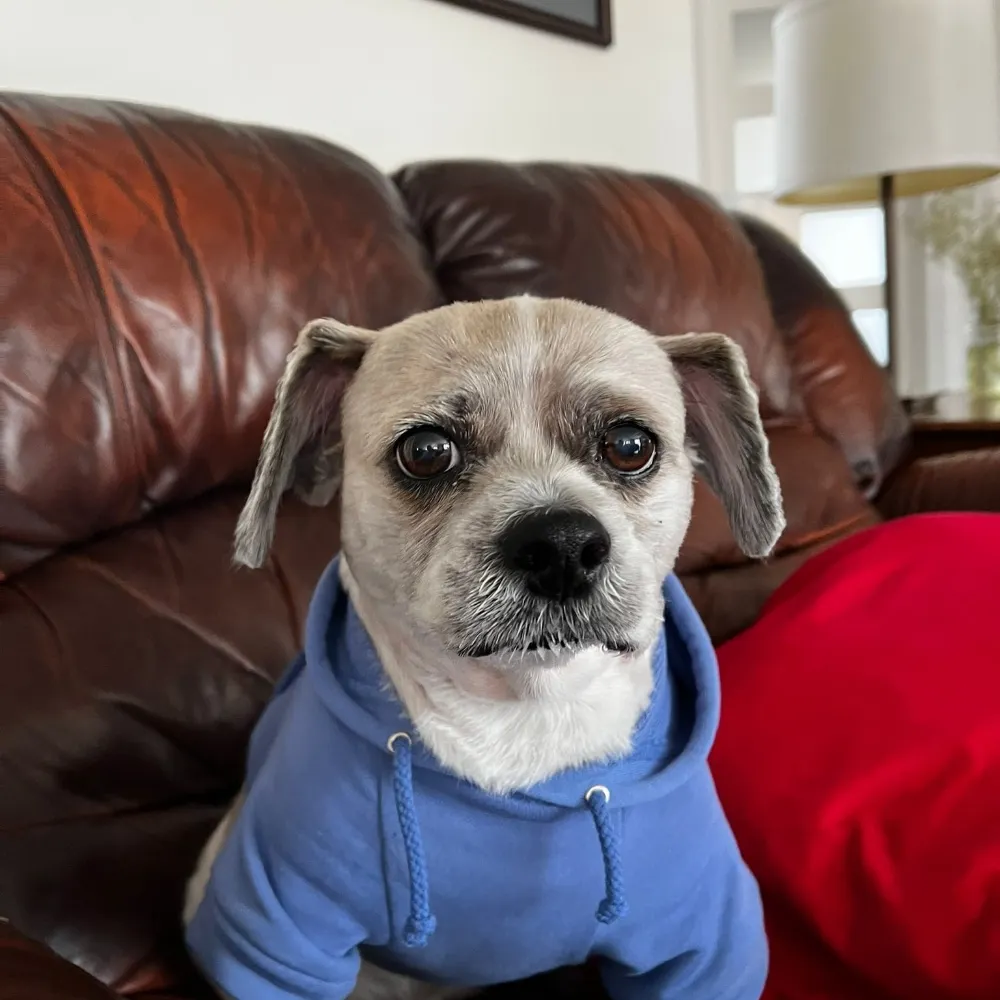 ex-pat.bsky.social's profile picture