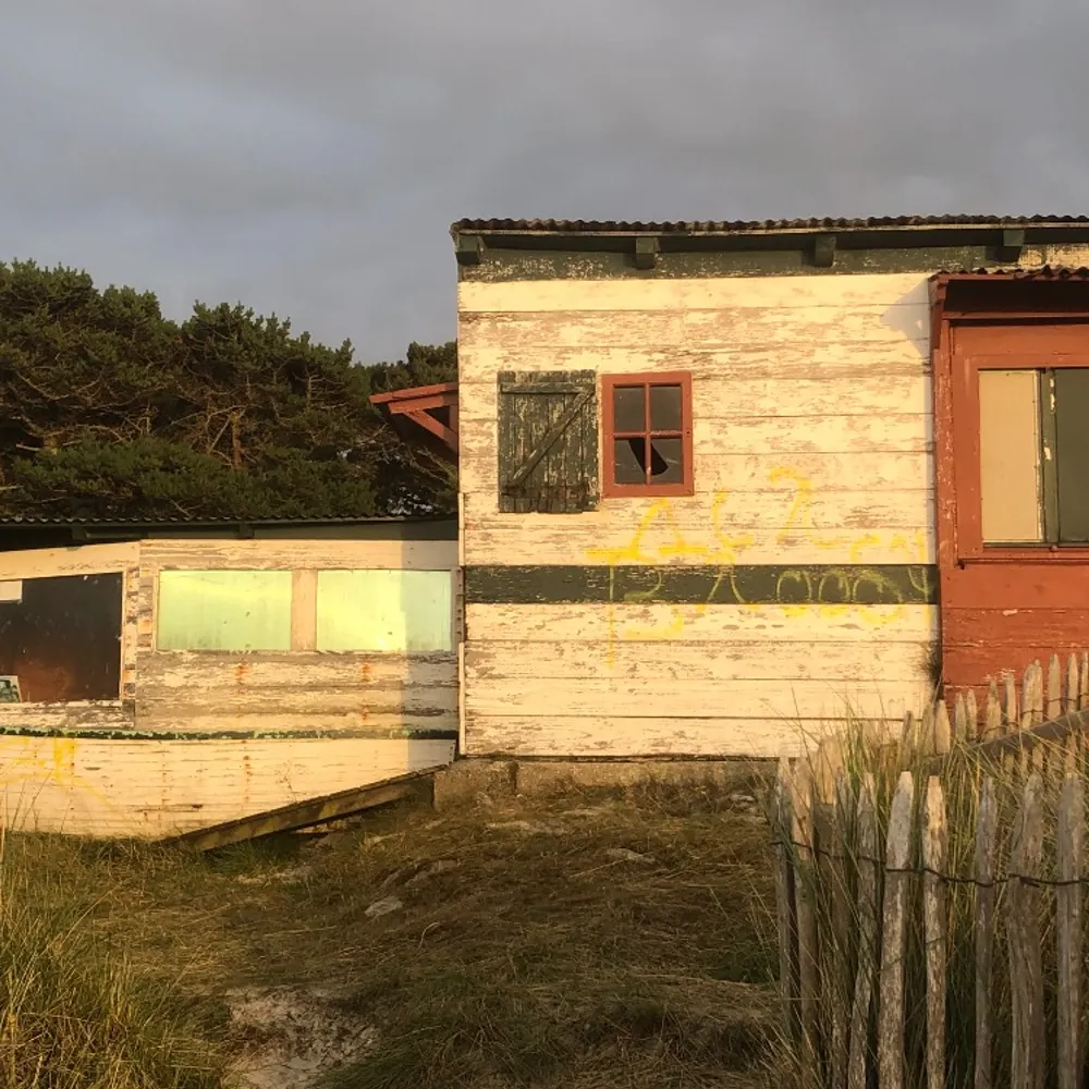 ksmikey.bsky.social's profile picture