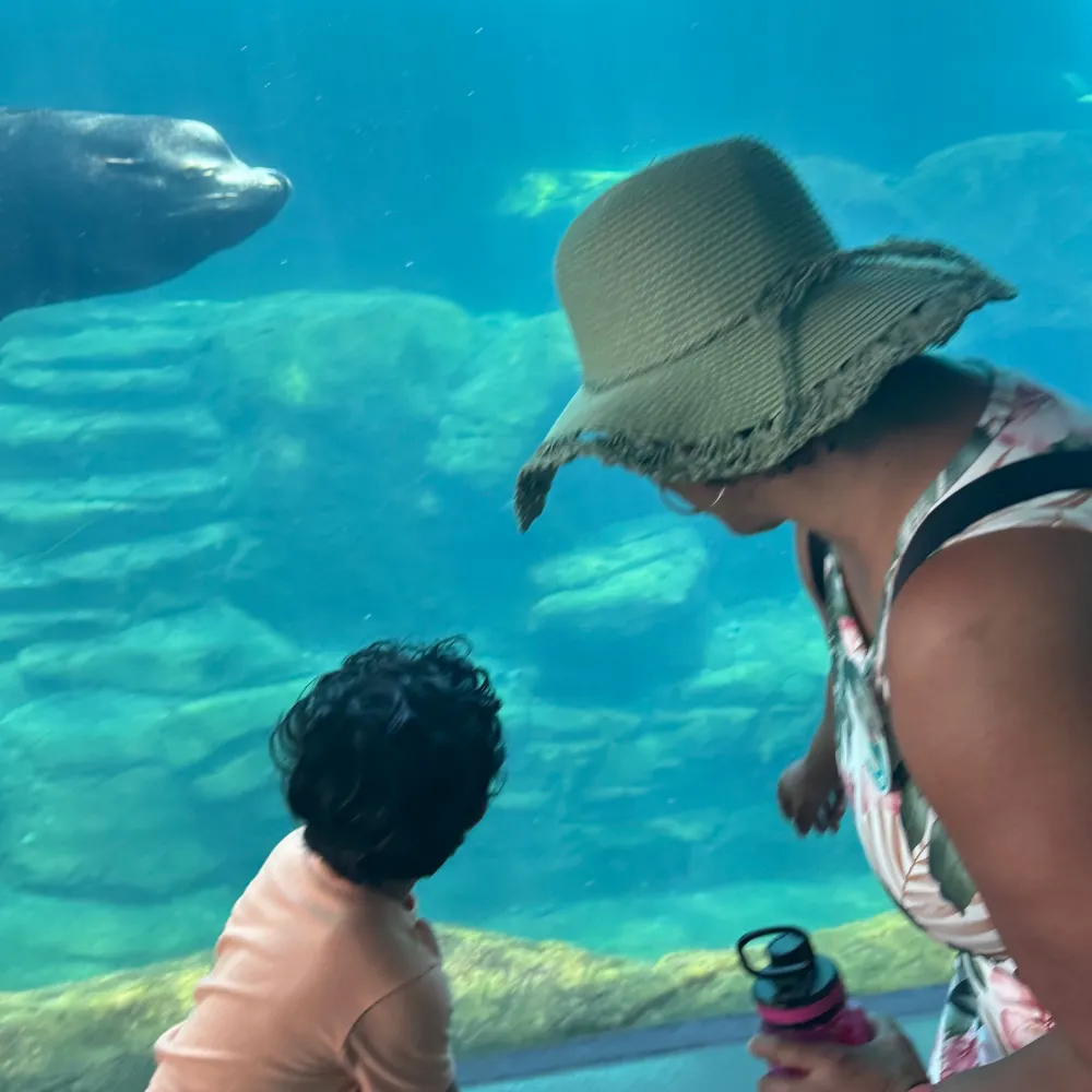 immabeeliever.bsky.social's profile picture