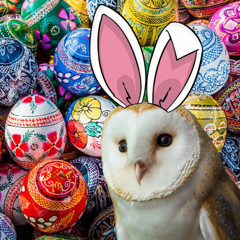 owlmarxist.bsky.social's profile picture