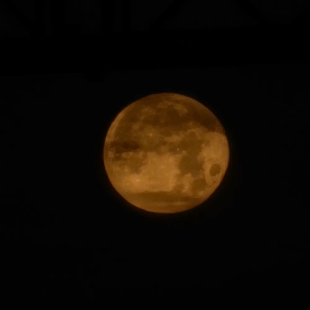 ieffinghatehim.bsky.social's profile picture