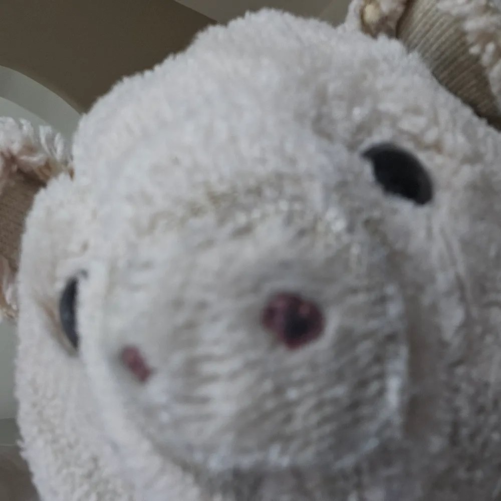 jeremydai.bsky.social's profile picture