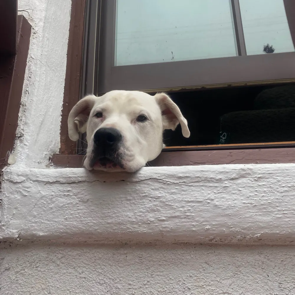 peteandiggy.bsky.social's profile picture