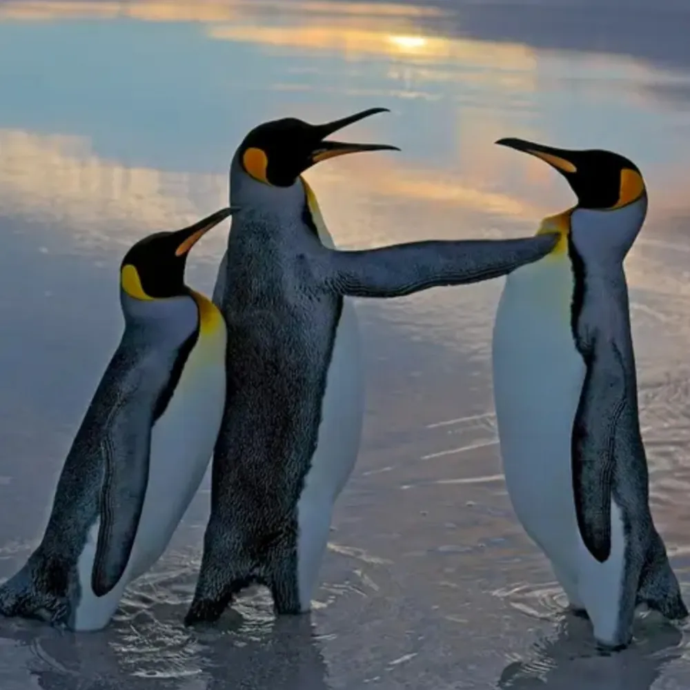 uthink2.bsky.social's profile picture