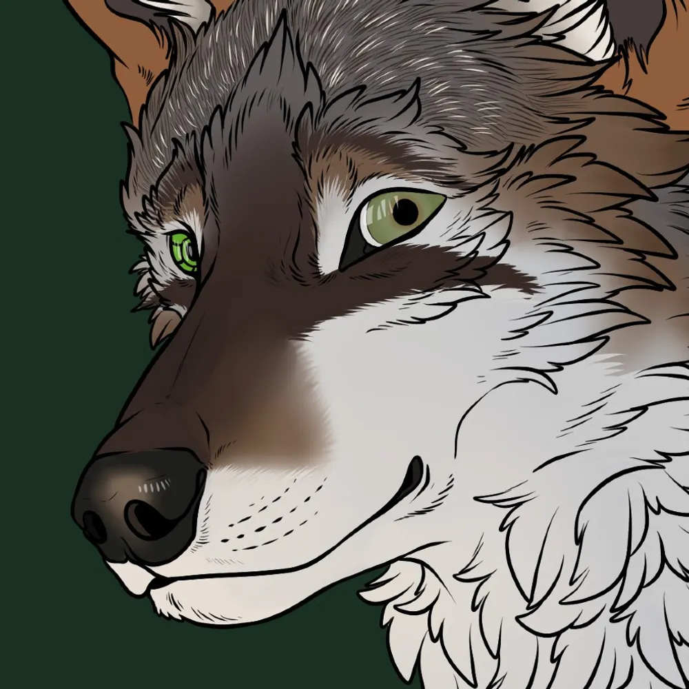 premium.jackal.life's profile picture