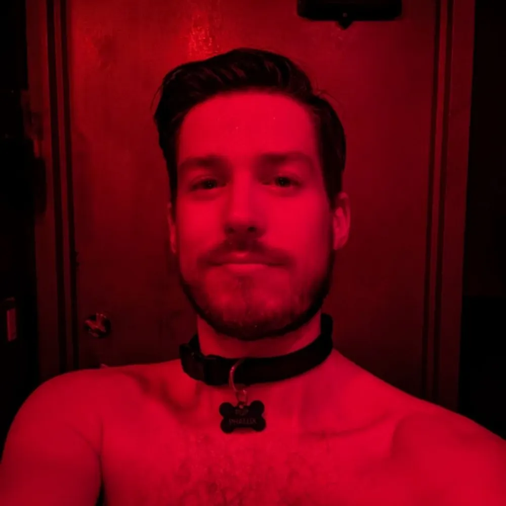 pupphallix.bsky.social's profile picture