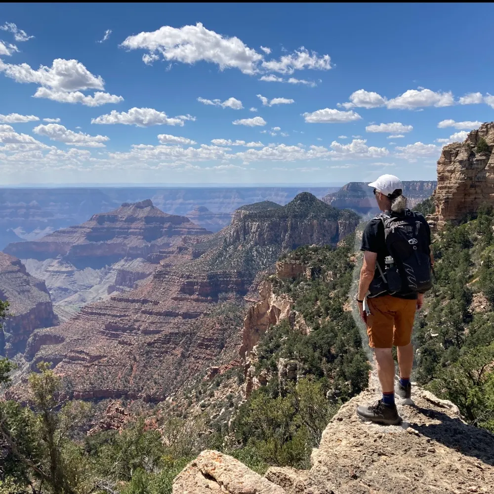 akajaywalk.bsky.social's profile picture