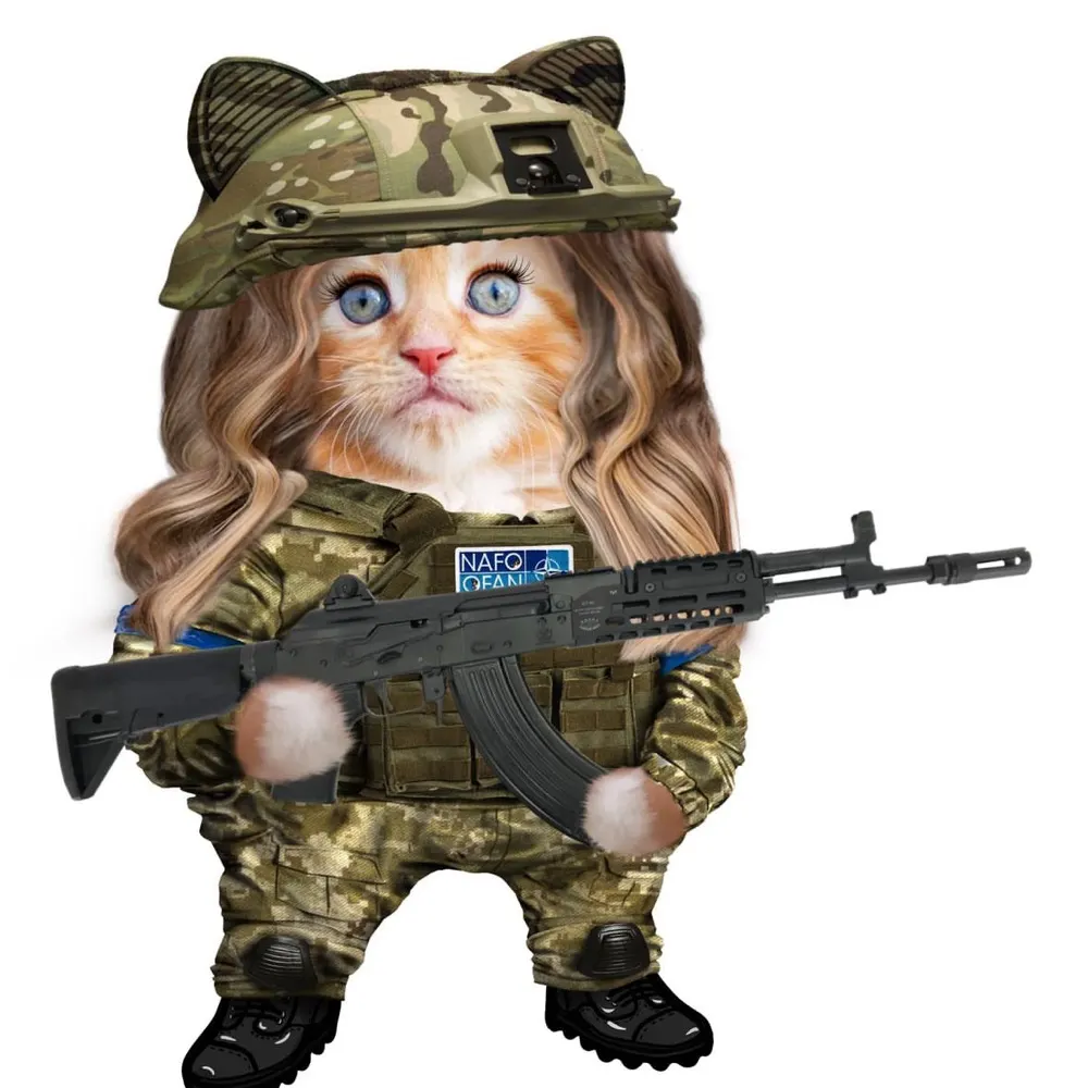 stormabigail.bsky.social's profile picture