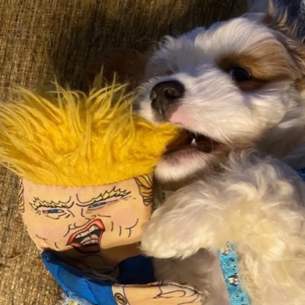 jakesterwisc.bsky.social's profile picture