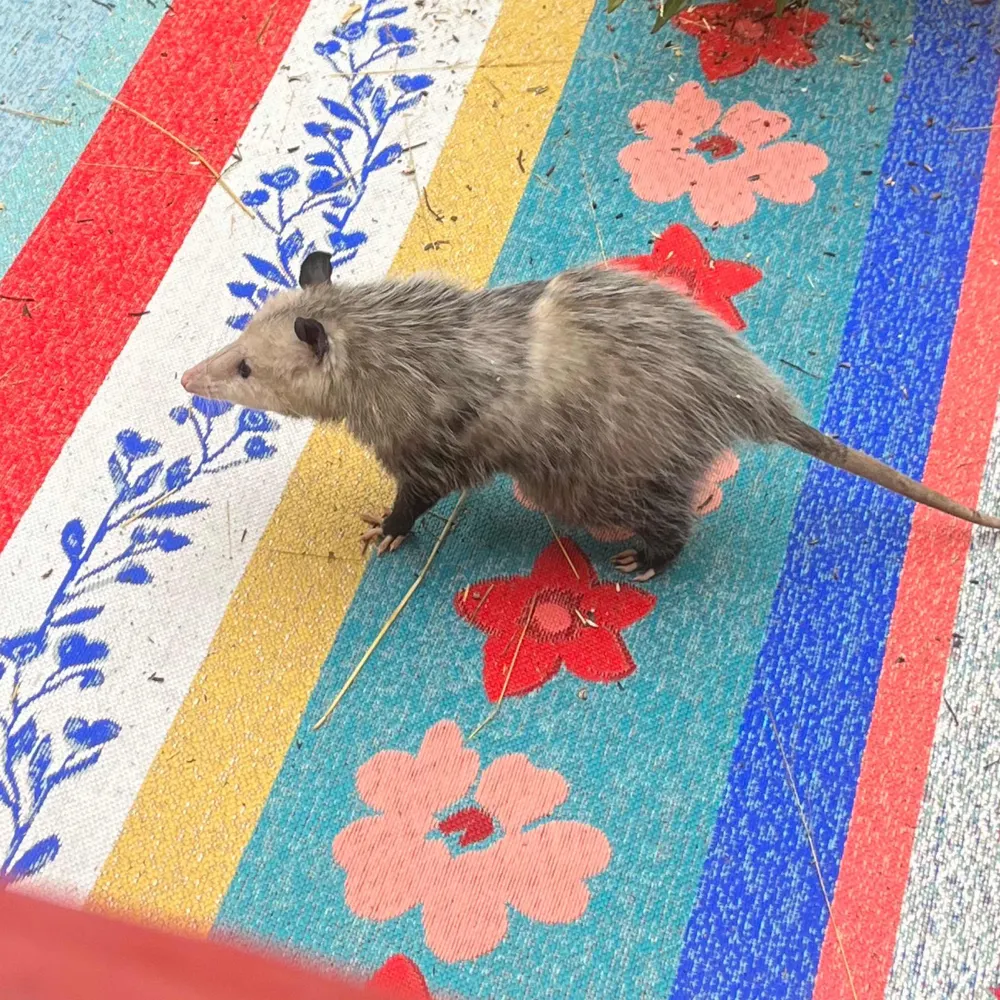 nf1nk.bsky.social's profile picture