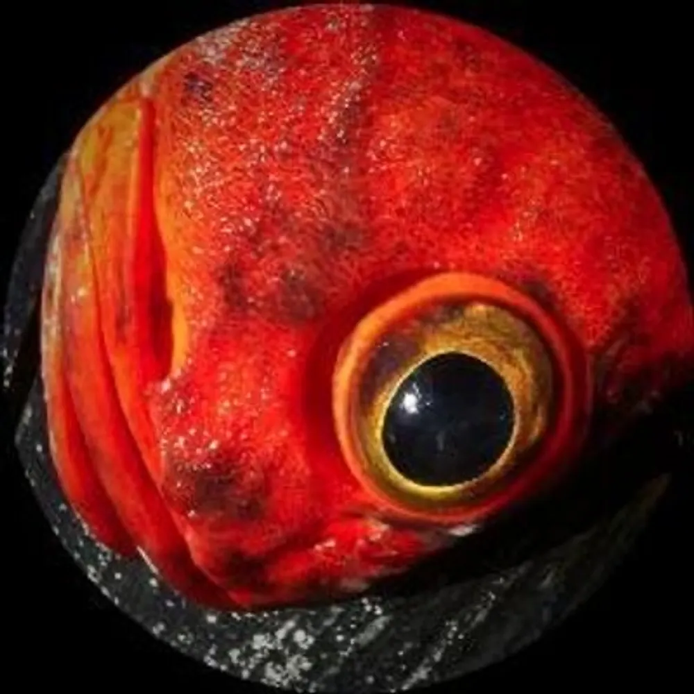 mr-preface.bsky.social's profile picture