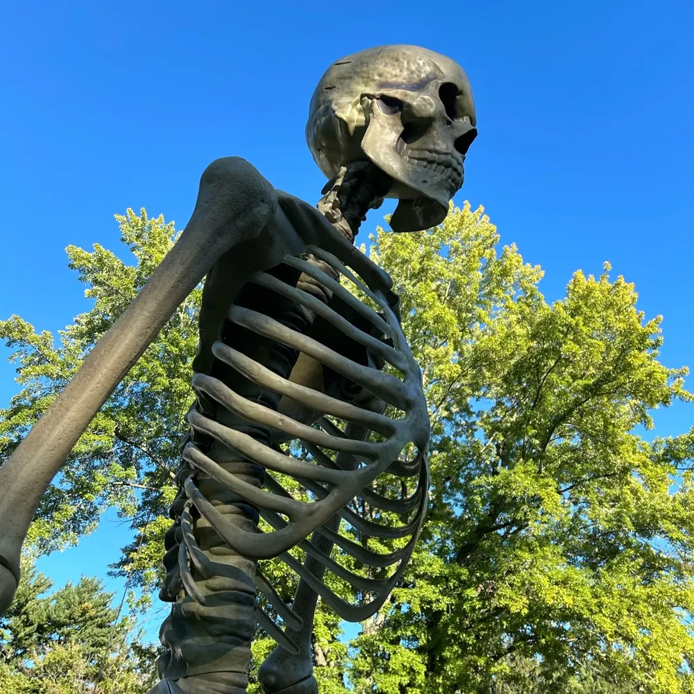 kevinmurtaugh.bsky.social's profile picture