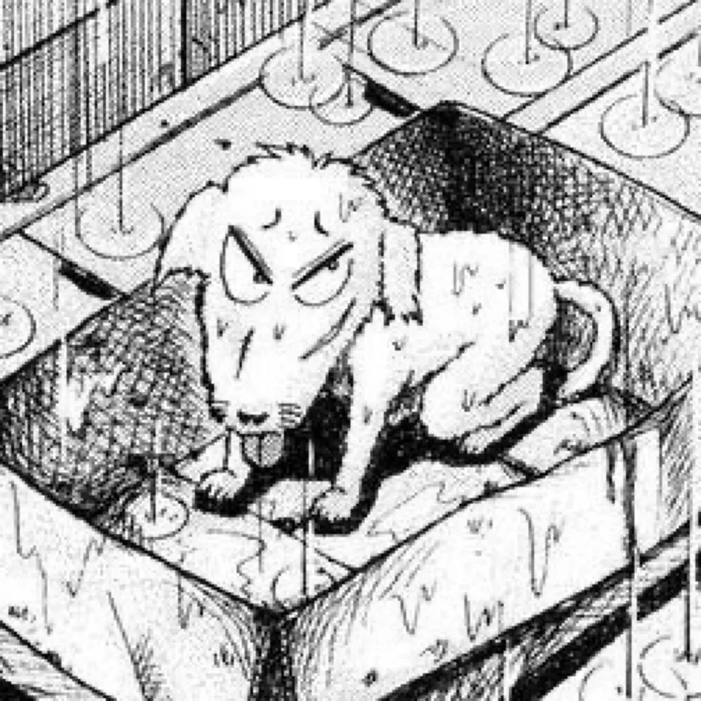 tubbiecustardt.bsky.social's profile picture