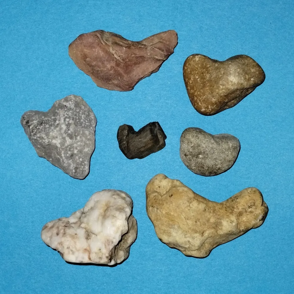 paulapooh.bsky.social's profile picture