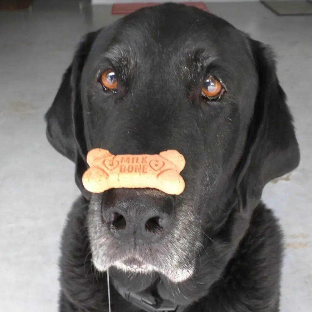 billk1.bsky.social's profile picture