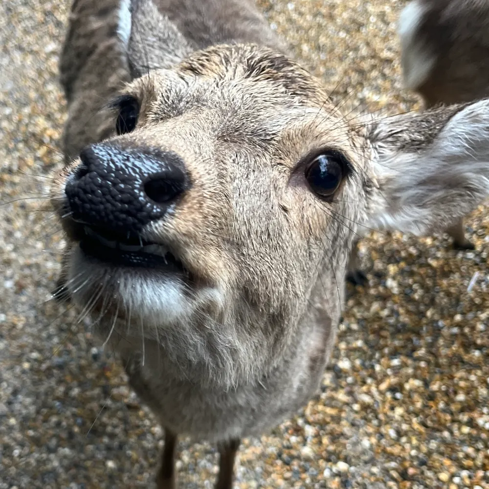 tenaciousdpi.bsky.social's profile picture