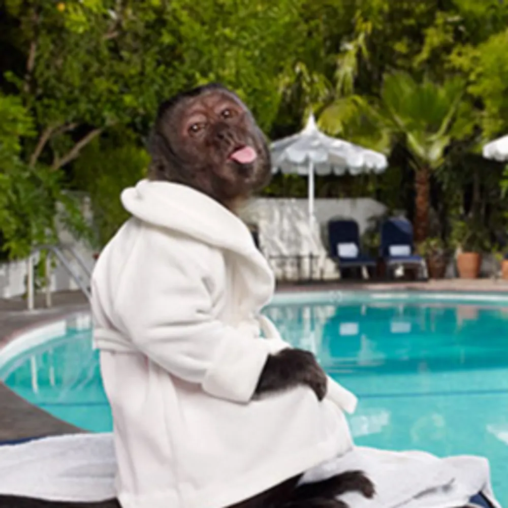 lalabehr.bsky.social's profile picture