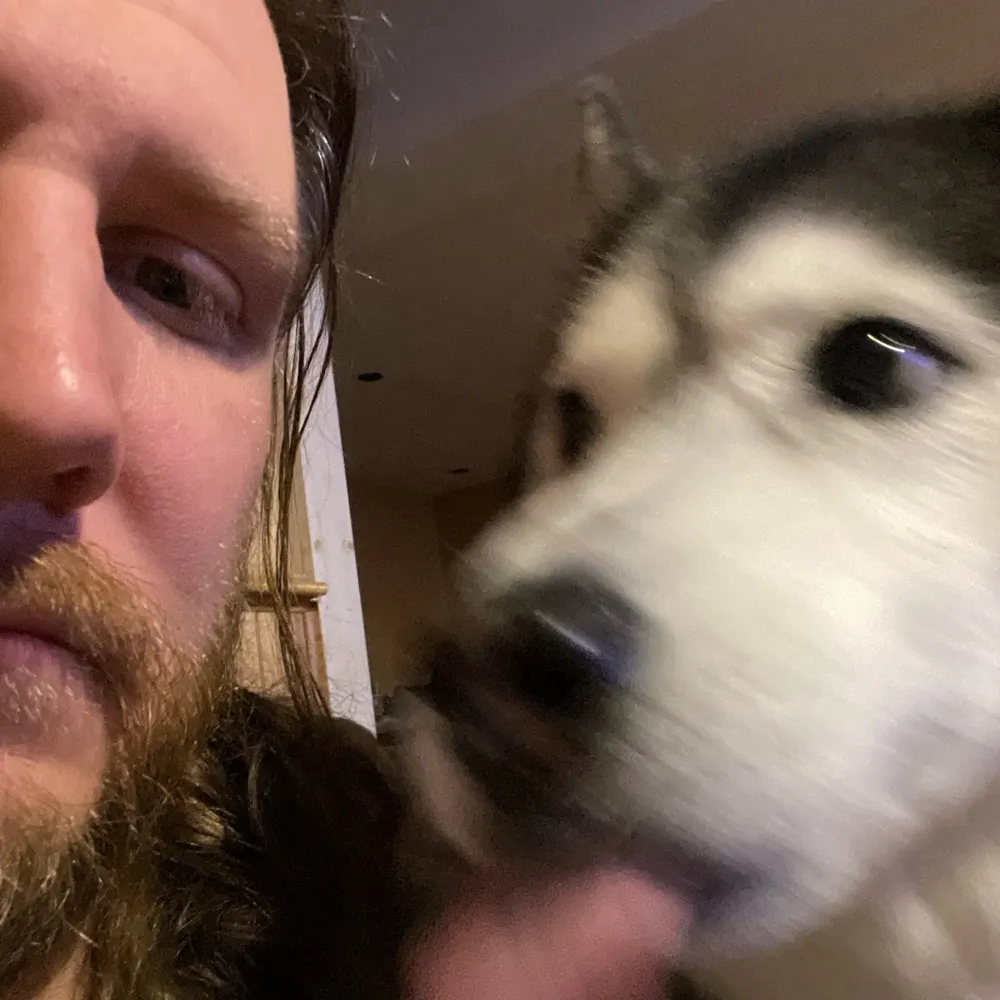 toomanysteves.bsky.social's profile picture