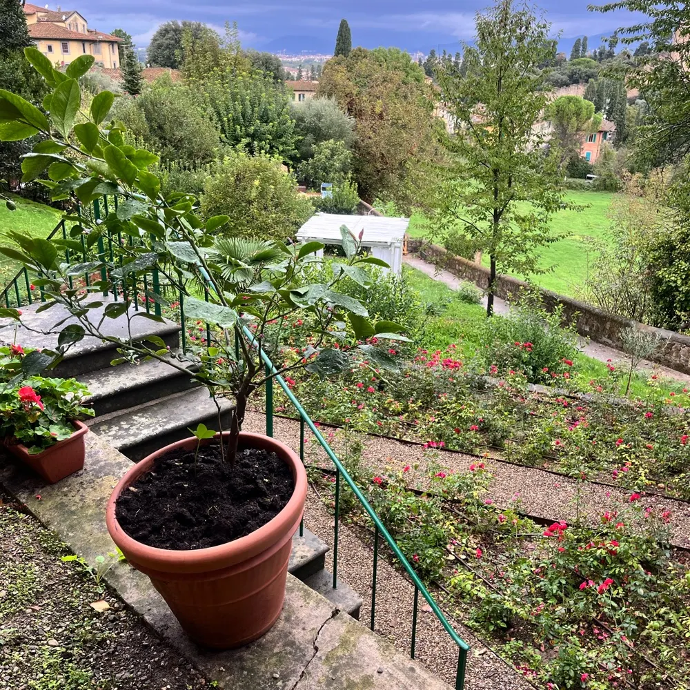 morct1.bsky.social's profile picture