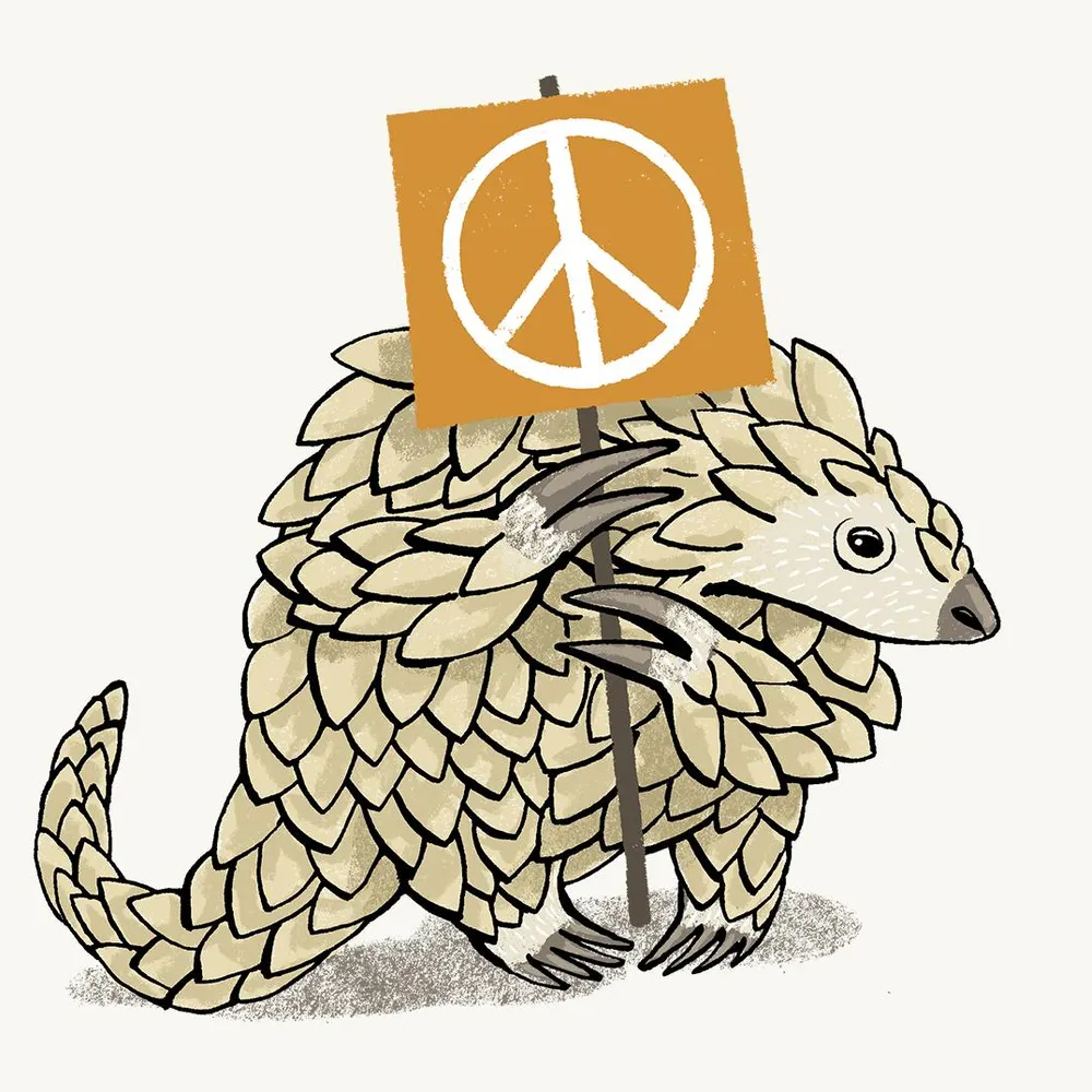 peace-pangolin.bsky.social's profile picture
