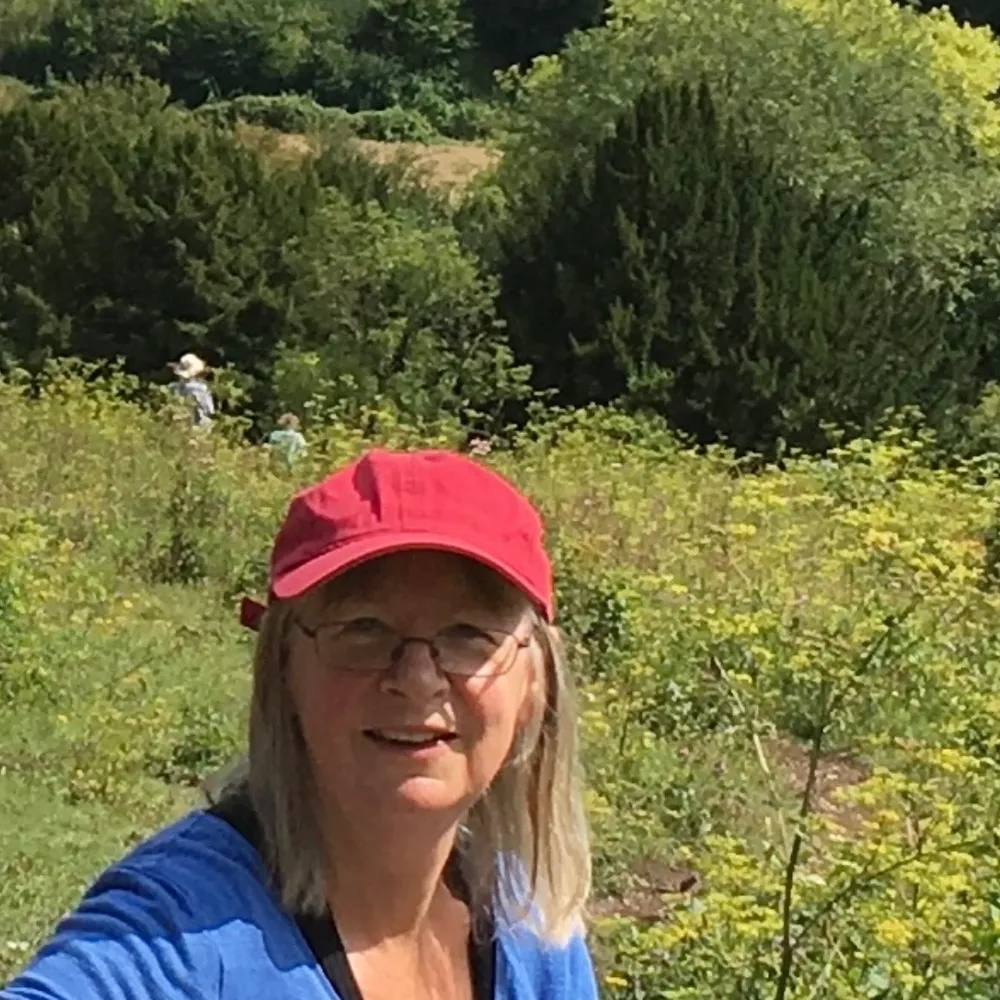 laurette1.bsky.social's profile picture