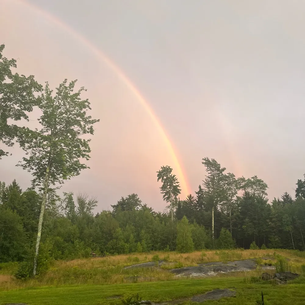 notesofland.bsky.social's profile picture