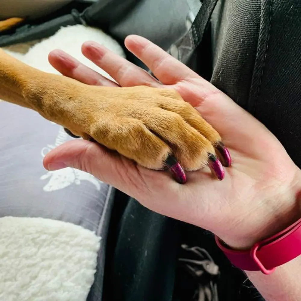 irishquilter13.bsky.social's profile picture