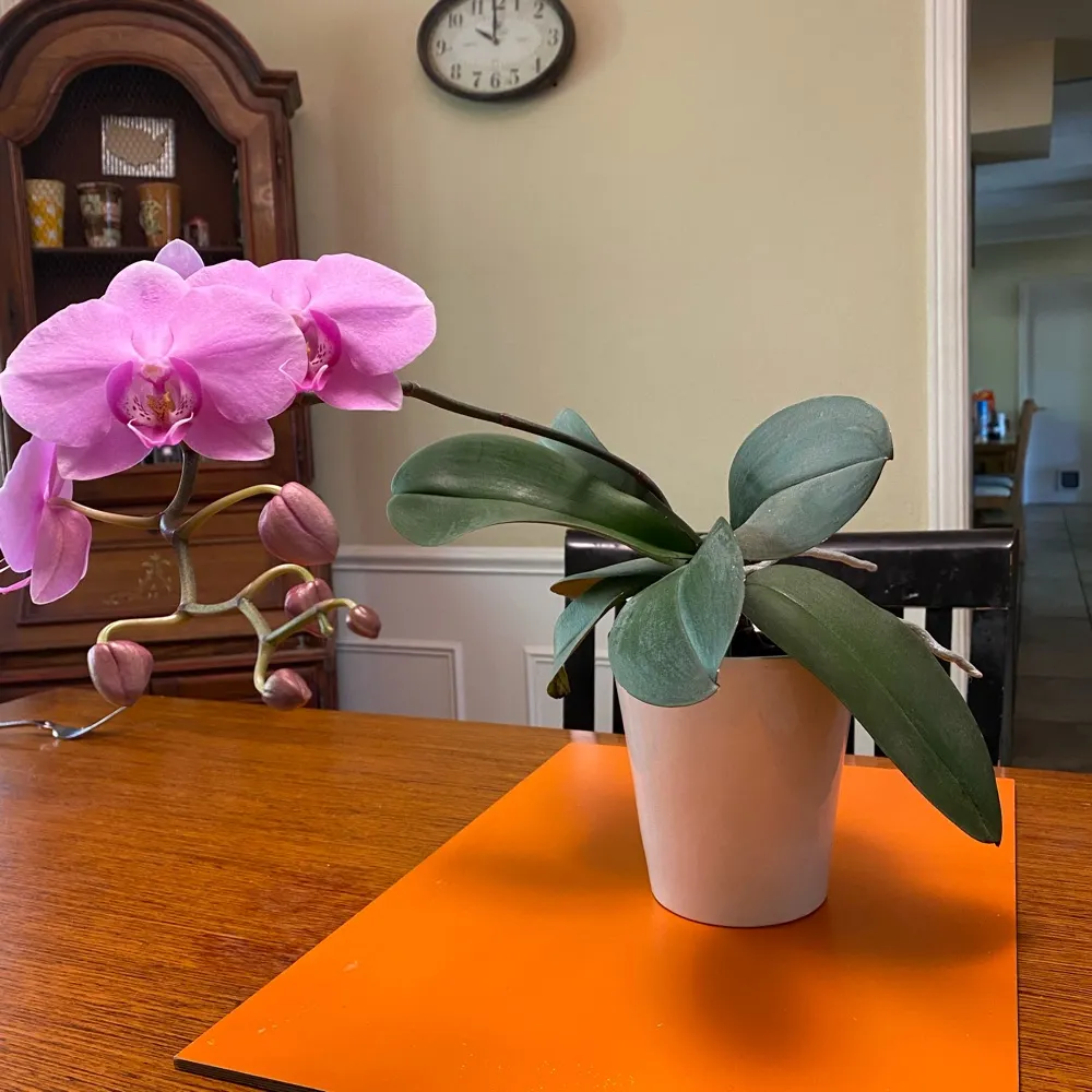 aginmorganhill.bsky.social's profile picture