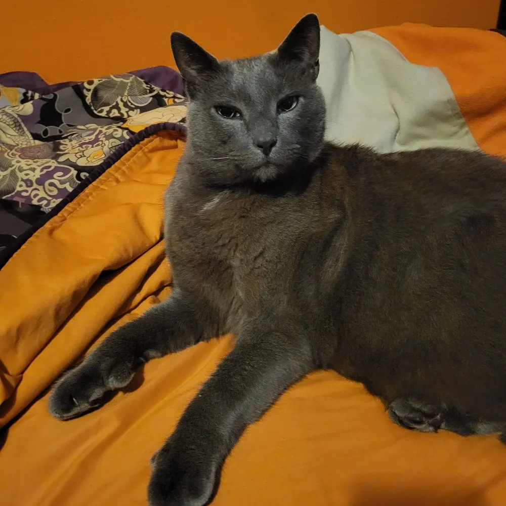 xanthelei.bsky.social's profile picture