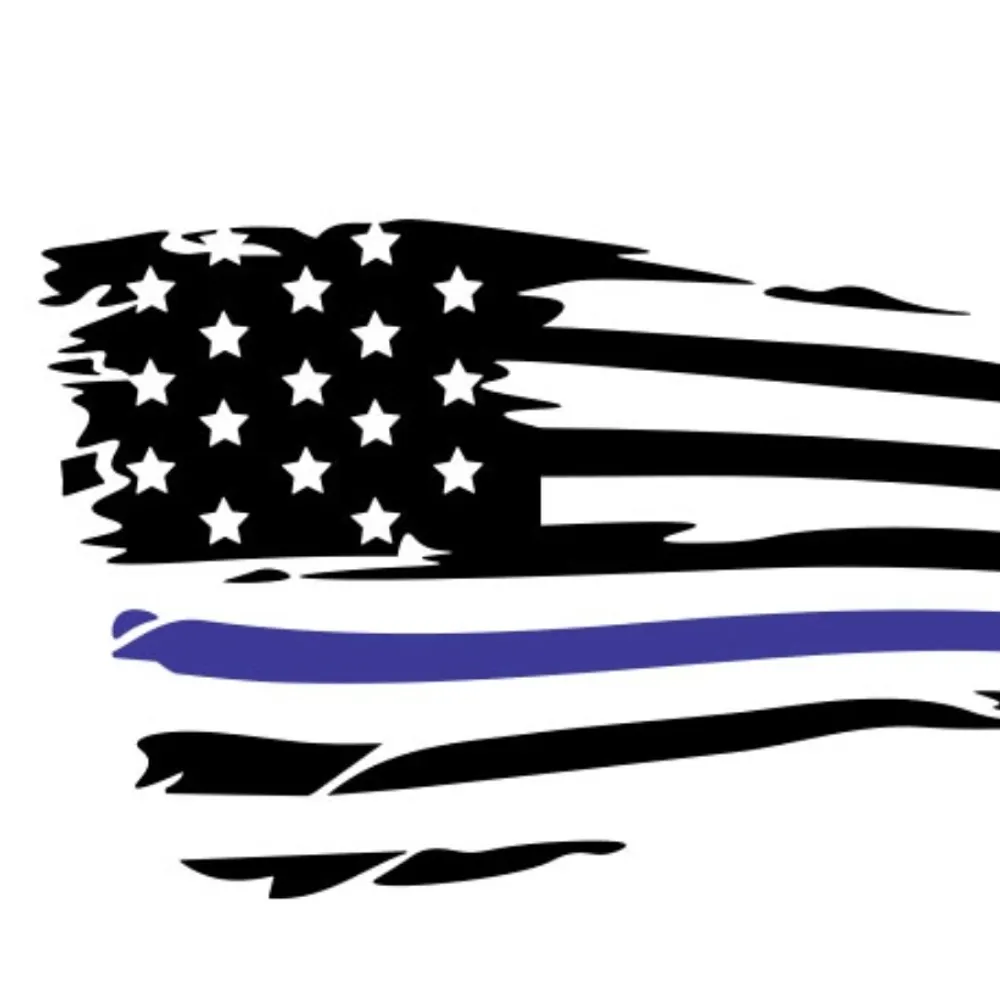 commonsense51.bsky.social's profile picture