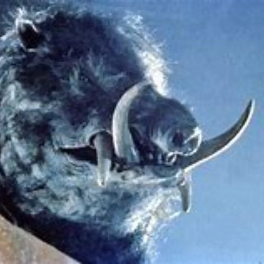 biglytariffman.bsky.social's profile picture