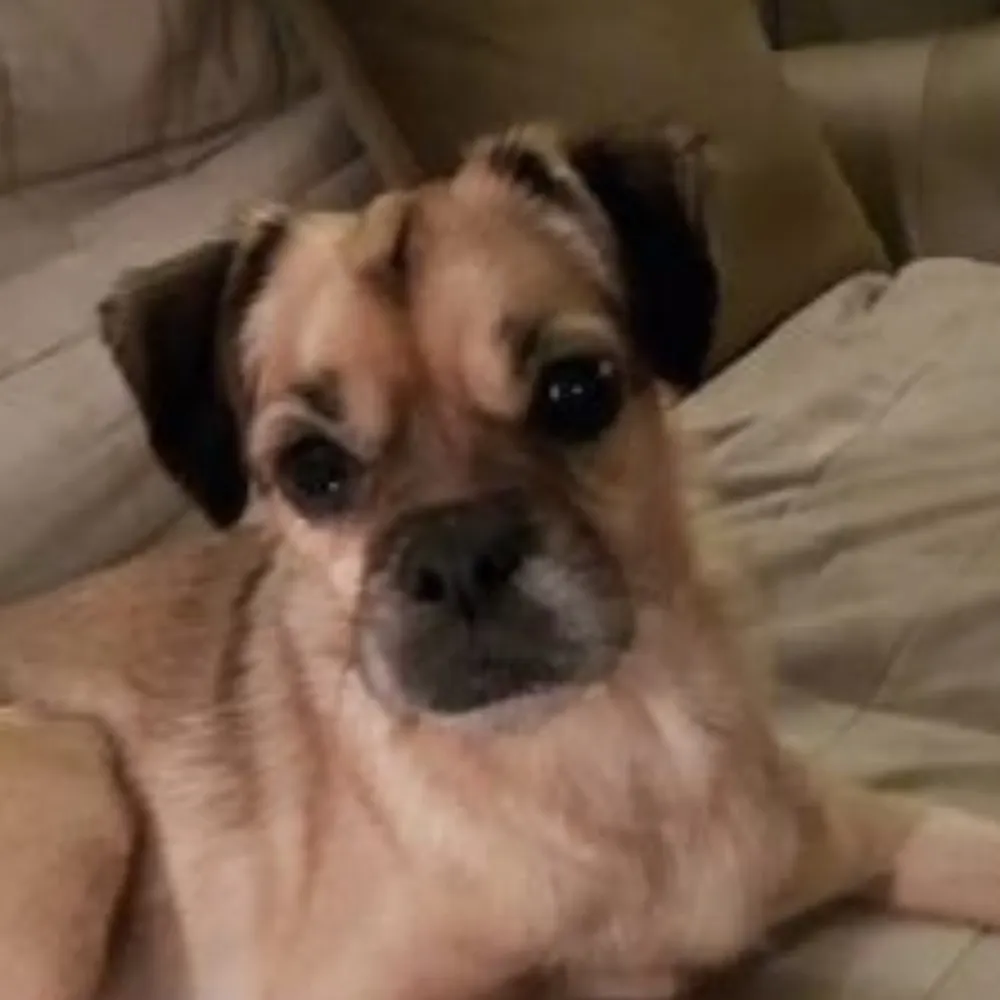 micropush.bsky.social's profile picture