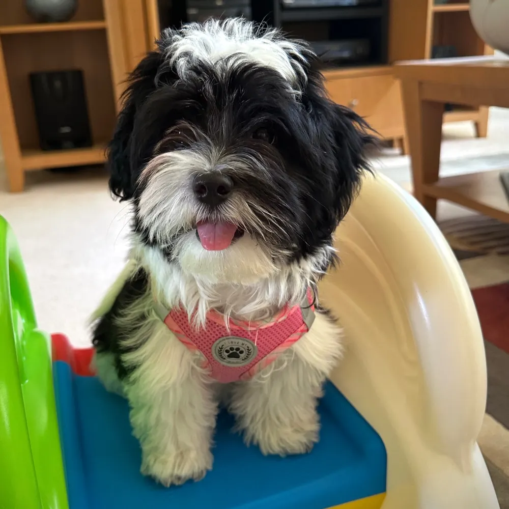 tagohio.bsky.social's profile picture