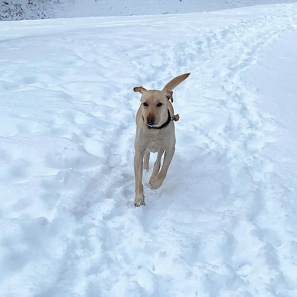 i-m-liberal.bsky.social's profile picture